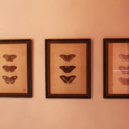 Bed and Breakfast Rigoletto Charm Βενετία